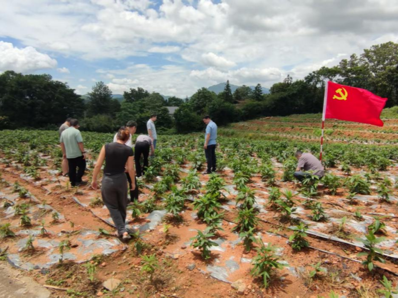 正规赌博十大网站app