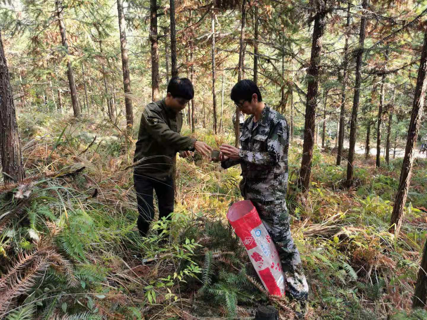 正规赌博十大网站app