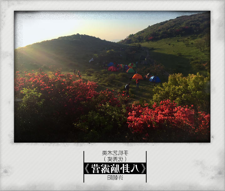 正规赌博十大网站app