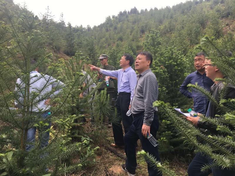 正规赌博十大网站app