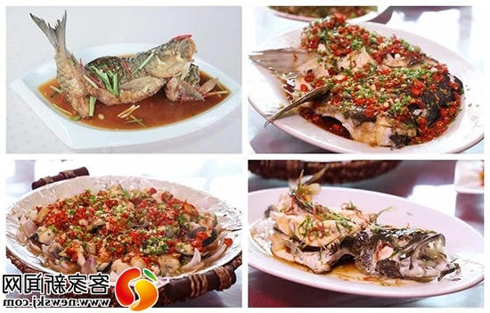 正规赌博十大网站app