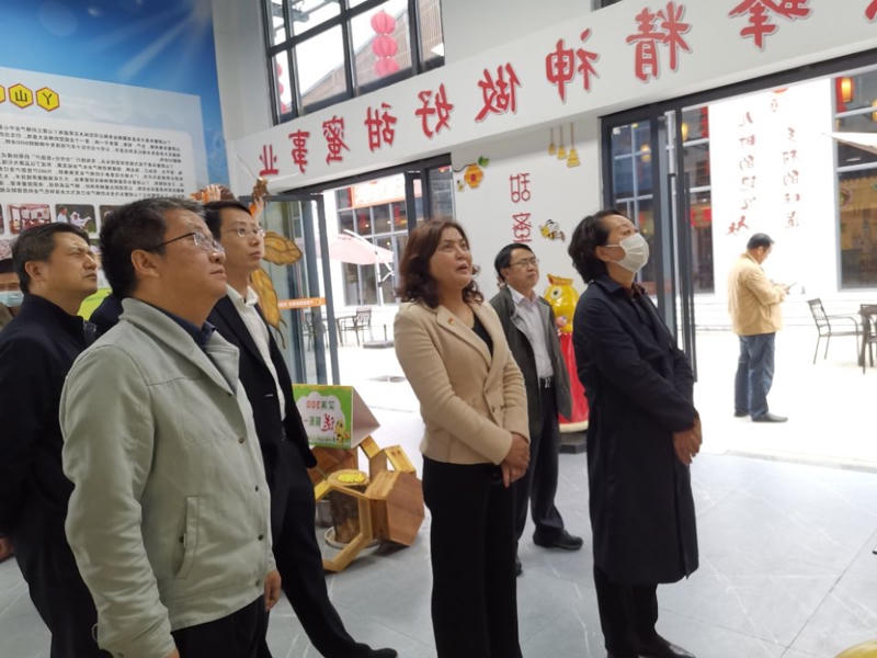 正规赌博十大网站app