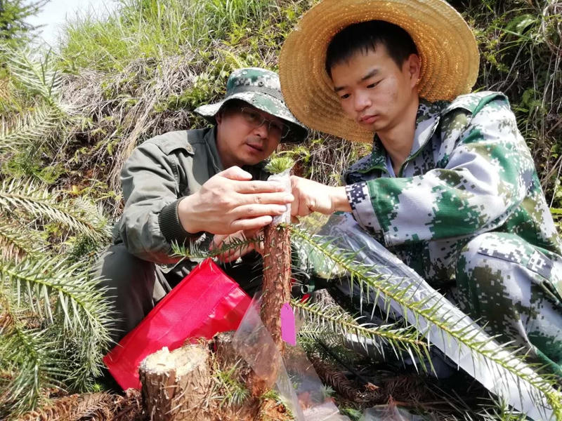 正规赌博十大网站app