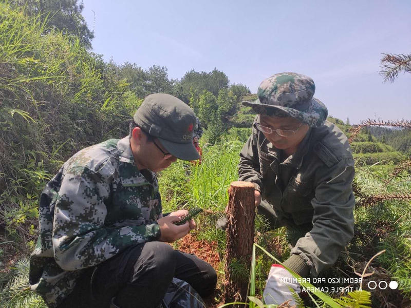 正规赌博十大网站app