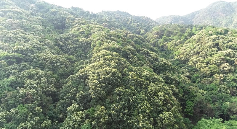 正规赌博十大网站app