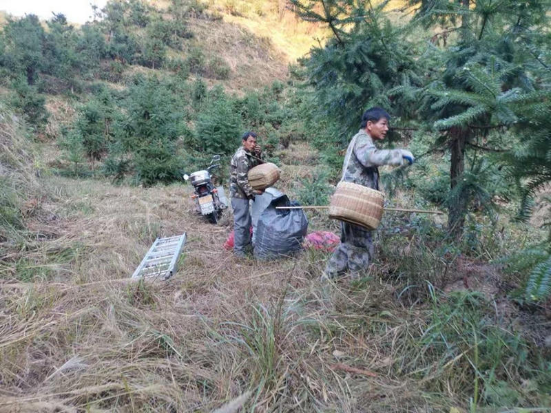 正规赌博十大网站app