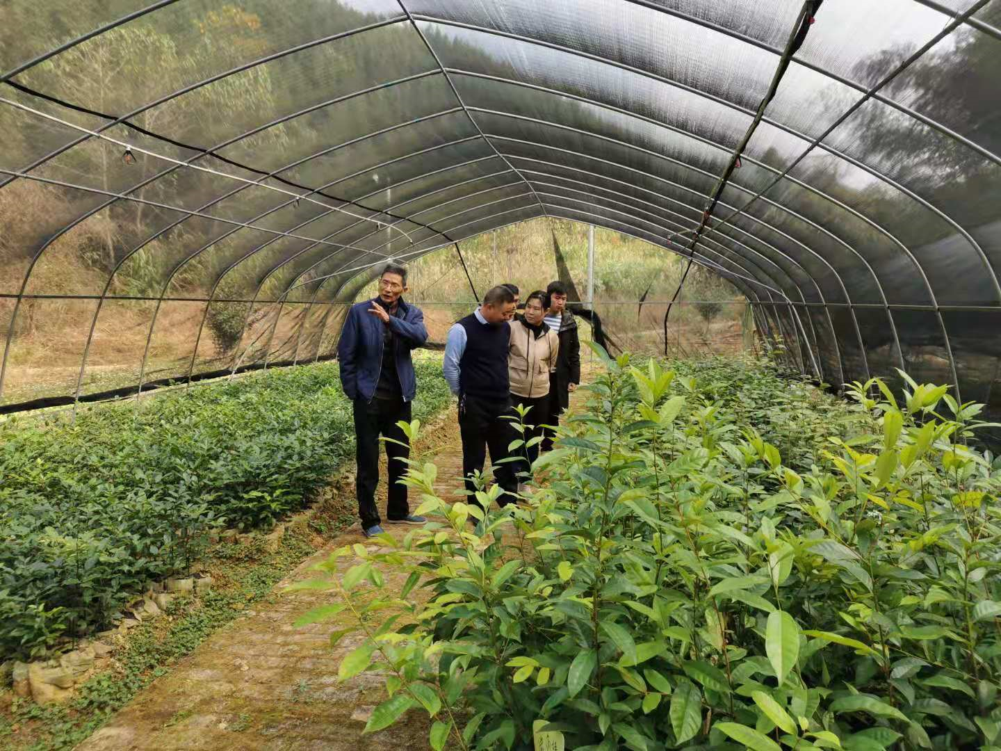 正规赌博十大网站app
