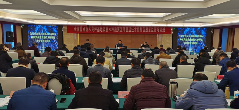 正规赌博十大网站app