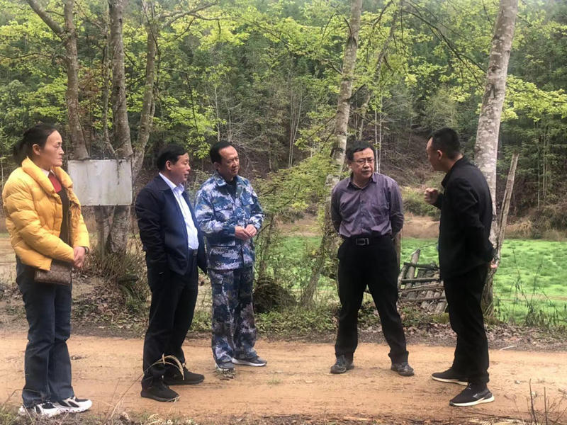 正规赌博十大网站app