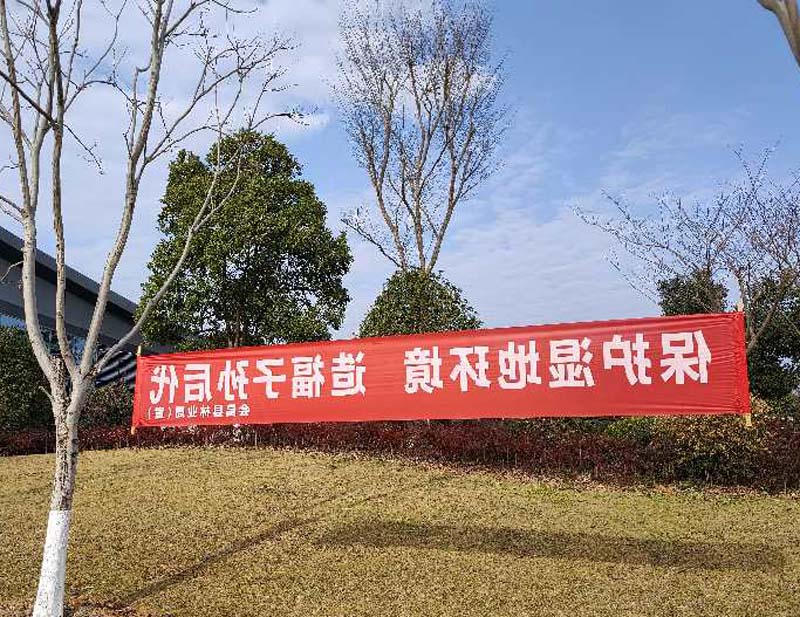 正规赌博十大网站app