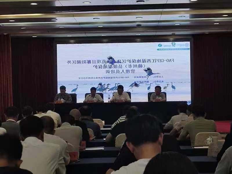 正规赌博十大网站app