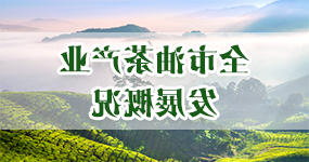 正规赌博十大网站app
