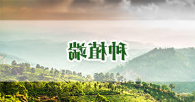 正规赌博十大网站app