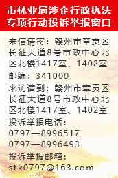 澳门网站大全平台网址优化营商环境服务热线