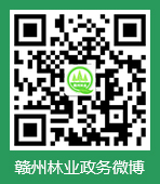 正规赌搏十大手机网址微博