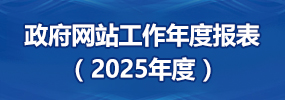 政府网站年度工作报表2023