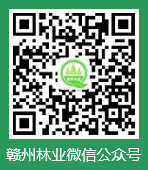 正规赌博十大网站app微信公众平台